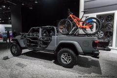 Detroit NAIAS 2019 Vol 2 (9)