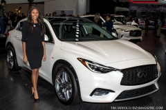NAIAS 2019 Vol 3 (10)