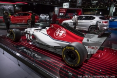 NAIAS 2019 Vol 3 (13)