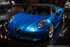 NAIAS 2019 Vol 3 (15)