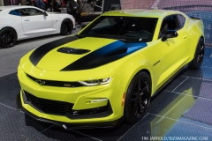 NAIAS 2019 Vol 3 (6)