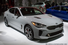 NAIAS 2019 Vol 4 (12)
