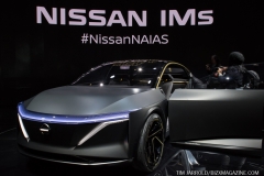 NAIAS 2019 Vol 4 (17)