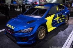 NAIAS 2019 Vol 4 (19)