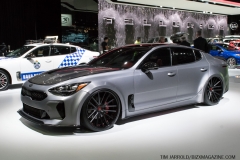 NAIAS 2019 Vol 4 (26)
