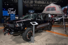 NAIAS 2019 Vol 4 (6)