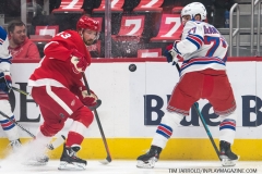 Wings vs Rangers March 7 2019 (1)