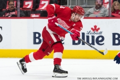Wings vs Rangers March 7 2019 (11)
