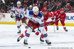 Wings vs Rangers March 7 2019 (15)