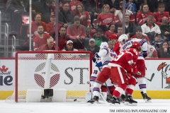 Wings vs Rangers March 7 2019 (16)