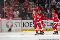 Wings vs Rangers March 7 2019 (19)