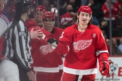 Wings vs Rangers March 7 2019 (20)
