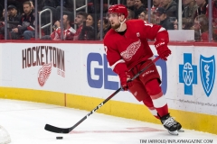 Wings vs Rangers March 7 2019 (23)