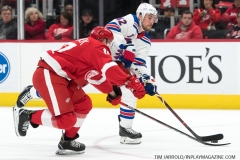 Wings vs Rangers March 7 2019 (26)