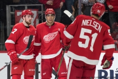 Wings vs Rangers March 7 2019 (30)