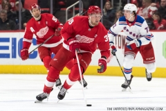 Wings vs Rangers March 7 2019 (31)