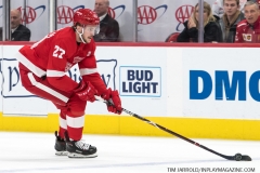 Wings vs Rangers March 7 2019 (33)