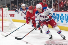 Wings vs Rangers March 7 2019 (47)
