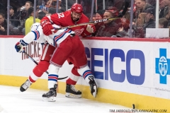 Wings vs Rangers March 7 2019 (56)