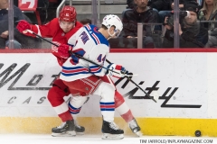 Wings vs Rangers March 7 2019 (7)