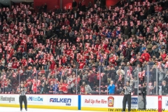 Wings vs Rangers March 7 2019 (8)
