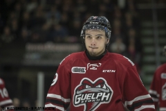 Guelph-Storm-vs-Ottawa-67s-May-12-2019-20