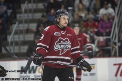 Guelph-Storm-vs-Ottawa-67s-May-12-2019-46