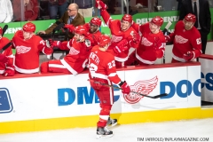Oilers-vs-Red-Wings-October-29-2019-15