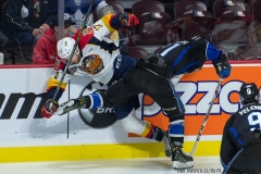 Otters vs Sea Dogs 01