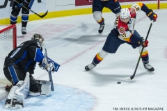 Otters vs Sea Dogs 02