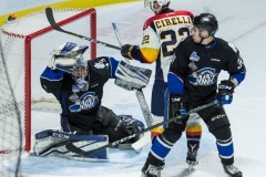 Otters vs Sea Dogs 11