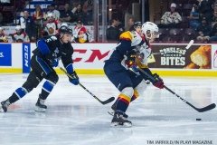 Otters vs Sea Dogs 12