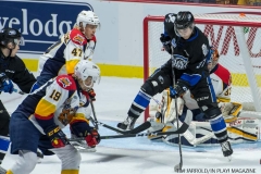 Otters vs Sea Dogs 17