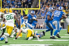 Packers-at-Detroit-Lions-December-29-2019-19