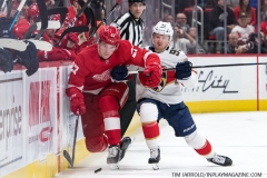 Red Wings vs Panthers Dec 22 2018 (1)