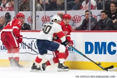 Red Wings vs Panthers Dec 22 2018 (11)