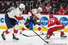 Red Wings vs Panthers Dec 22 2018 (16)