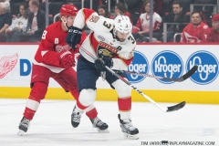 Red Wings vs Panthers Dec 22 2018 (2)