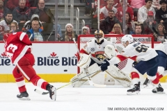 Red Wings vs Panthers Dec 22 2018 (20)