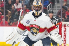 Red Wings vs Panthers Dec 22 2018 (3)
