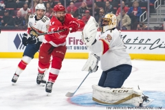 Red Wings vs Panthers Dec 22 2018 (31)