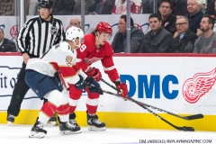 Red Wings vs Panthers Dec 22 2018 (4)