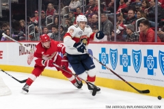 Red Wings vs Panthers Dec 22 2018 (41)