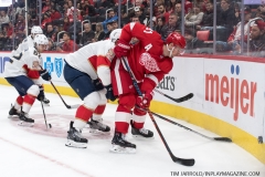 Red Wings vs Panthers Dec 22 2018 (47)
