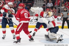 Red Wings vs Panthers Dec 22 2018 (48)