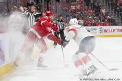 Red Wings vs Panthers Dec 22 2018 (5)