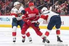 Red Wings vs Panthers Dec 22 2018 (8)