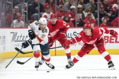 Red Wings vs Panthers Dec 22 2018 (9)