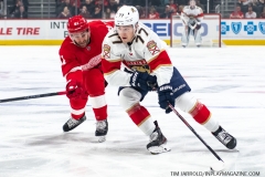 Florida-Panthers-vs-Detroit-Red-Wings-January-18-2020-1