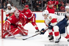 Florida-Panthers-vs-Detroit-Red-Wings-January-18-2020-16
